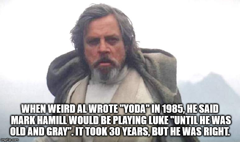 photo caption - When Weird Al Wrote "Yoda" In 1985, He Said Mark Hamill Would Be Playing Luke "Until He Was Old And Gray". It Took 30 Years, But He Was Right. imgflip.com