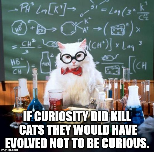 ve been drinking meme - Pt Lm K> 1 Lop 30k 070> 2 Ch Ln Ch" Log 3 If Curiosity Did Kill Cats They Would Have Evolved Not To Be Curious. imgflip.com