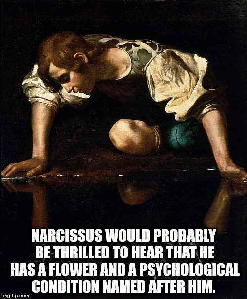 caravaggio narcissus - Narcissus Would Probably Be Thrilled To Hear That He Has A Flower And A Psychological Condition Named After Him. imgflip.com