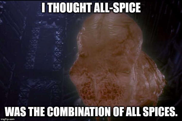 human - I Thought AllSpice Was The Combination Of All Spices. imgflip.com