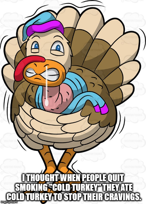 shivering turkey - I Thought When People Quit Smoking "Cold Turkey" They Ate Cold Turkey To Stop Their Cravings. imgflip.com