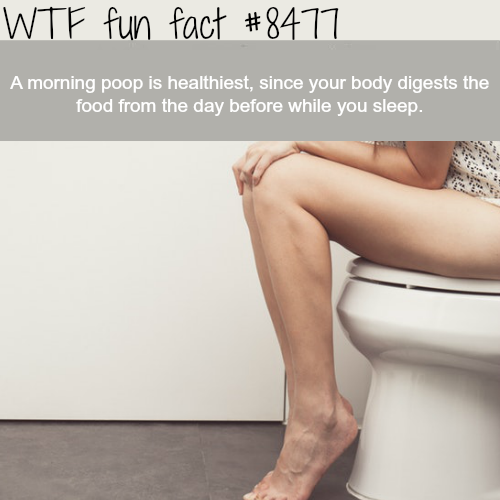 36 Random Facts to Deflate Your Ignorance