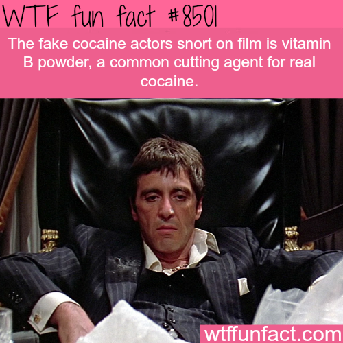 25 Weird and Random Facts to Make You Feel Smarter