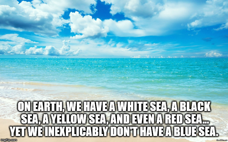Water your brain with these 35 Shower Thoughts