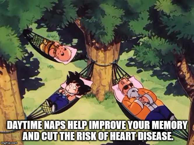 turtle hermit way quote - Daytime Naps Help Improve Your Memory S And Cut The Risk Of Heart Disease. imgflip.com