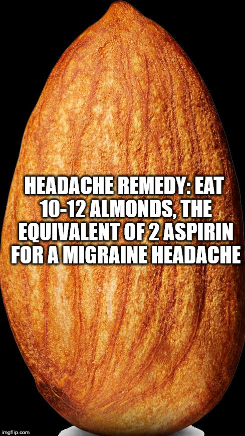 transparent almond clipart - Headache Remedy Eat 1012 Almonds, The Equivalent Of 2 Aspirin For A Migraine Headache imgflip.com
