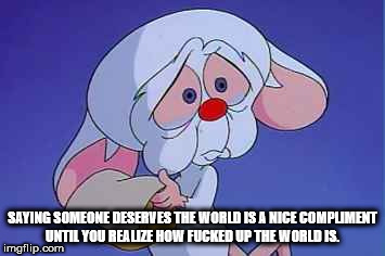 pinky and the brain christmas - Saying Someone Deserves The World Is A Nice Compliment Until You Realize How Fucked Up The World Is. imgflip.com