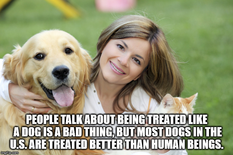 take care of pets - People Talk About Being Treated A Dog Is A Bad Thing.But Most Dogs In The U.S. Are Treated Better Than Human Beings. imgflip.com