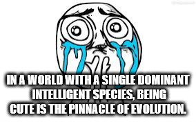yes you can meme - In A World With A Single Dominant Intelligent Species, Being Cute Is The Pinnacle Of Evolution.