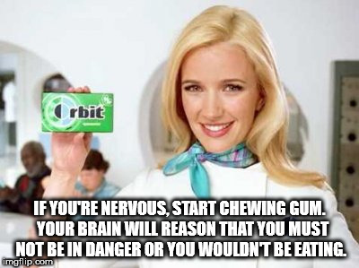 filthy mouth meme - rbit If You'Re Nervous. Start Chewing Gum. Your Brain Will Reason That You Must Not Be In Danger Or You Wouldnt Be Eating. imgflip.com