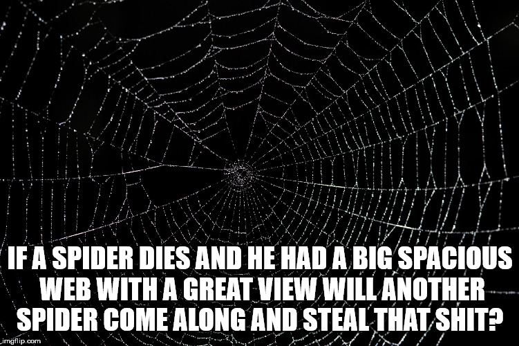 call of duty black ops - If A Spider Dies And He Had A Big Spacious Web With A Great View Will Another Spider Come Along And Steal That Shit? Limgflip.com