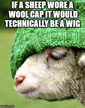 Wool - If A Sheep Wore A Wool Cap It Would Technically Be A Wig imgflip.com