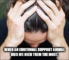 mental health - When An Emotional Support Animal Dies We Need Them The Most.