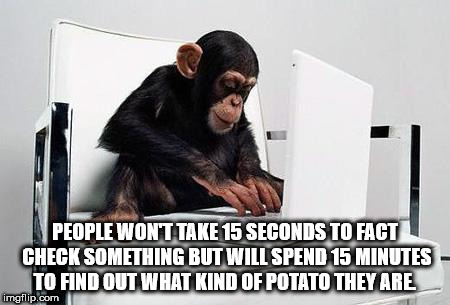 animals on computers - People Won'T Take 15 Seconds To Fact Check Something But Will Spend 15 Minutes To Find Out What Kind Of Potato They Are imgflip.com