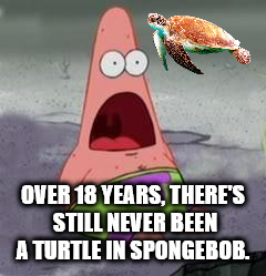 patrick star - Over 18 Years, There'S Still Never Been A Turtle In Spongebob.
