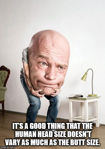 big head meme - It'S A Good Thing That The Human Head Size Doesnt Vary As Much As The Butt Size. imgflip.com
