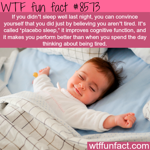 23 weird facts