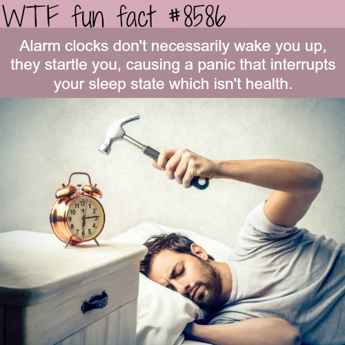 30 weird, random facts