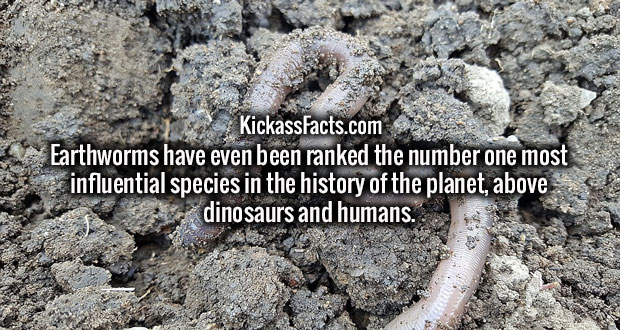 30 weird, random facts