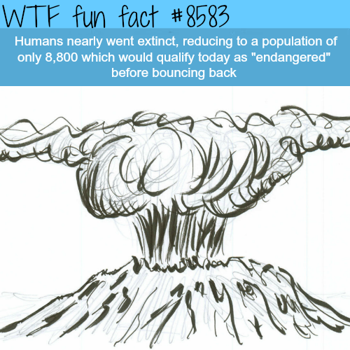 30 weird, random facts