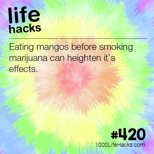 sky - life hacks Eating mangos before smoking marijuana can heighten it's effects. 1000Life Hacks.com