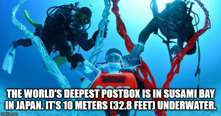 world's deepest postbox - The World'S Deepest Postbox Is In Susami Bay In Japan. Its 10 Meters 32.8 Feet Underwater. imgflip.com