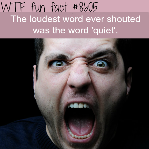 loudest word ever shouted - Wtf fun fact The loudest word ever shouted was the word 'quiet'.