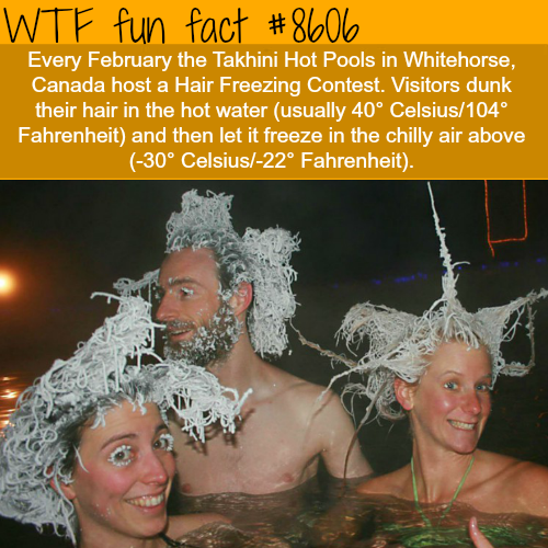 frozen hair contest - Wtf fun fact Every February the Takhini Hot Pools in Whitehorse, Canada host a Hair Freezing Contest. Visitors dunk their hair in the hot water usually 40 Celsius104 Fahrenheit and then let it freeze in the chilly air above 30 Celsiu