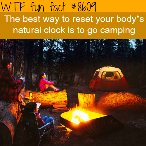 wtf fun funny facts about camping - Wtf fun fact The best way to reset your body's natural clock is to go camping