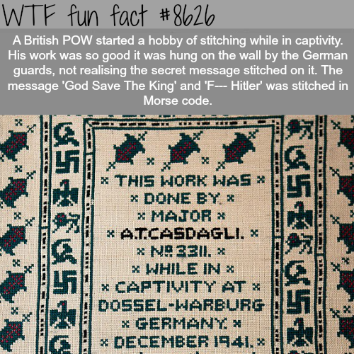 19 fun facts