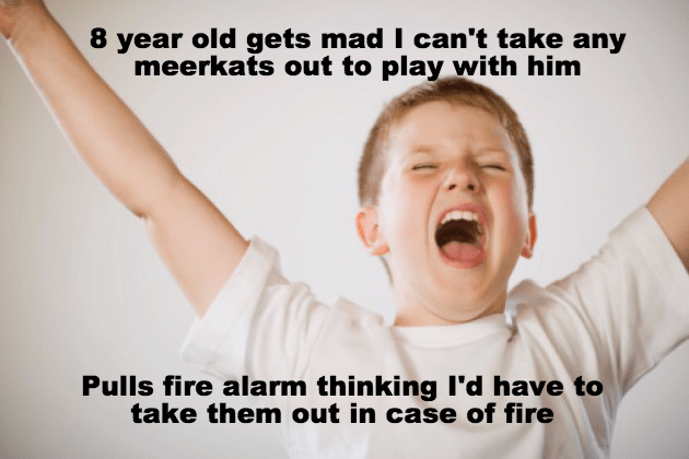 kid screaming happy - 8 year old gets mad I can't take any meerkats out to play with him Pulls fire alarm thinking I'd have to take them out in case of fire