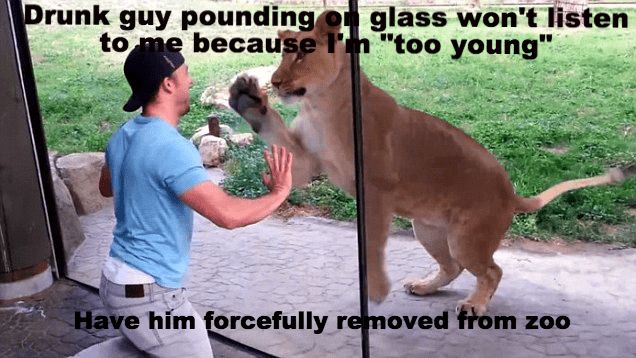 photo caption - Drunk guy pounding on glass won't listen to me because I'n "too young" Have him forcefully removed from zoo