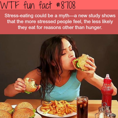 21 Weird and Random Facts to Shove into Your Think Meat