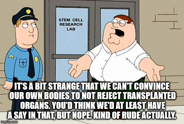 point where this needs - Stem Cell Research Lab It'S A Bit Strange That We Cant Convince Qur Own Bodies To Not Reject Transplanted Organs. You'D Think We'D At Least Have A Say In That, But Nope. Kind Of Rude Actually. imgflip.com