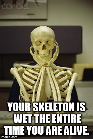 waiting for lunch break meme - corbis Your Skeleton Is Wet The Entire Time You Are Alive. imgflip.com