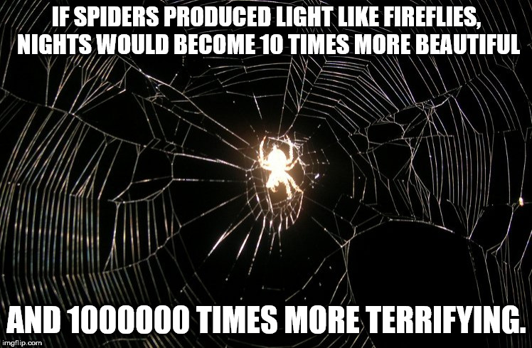 rush limbaugh - If Spiders Produced Light Fireflies, Nights Would Become 10 Times More Beautiful And 1000000 Times More Terrifying. imgflip.com