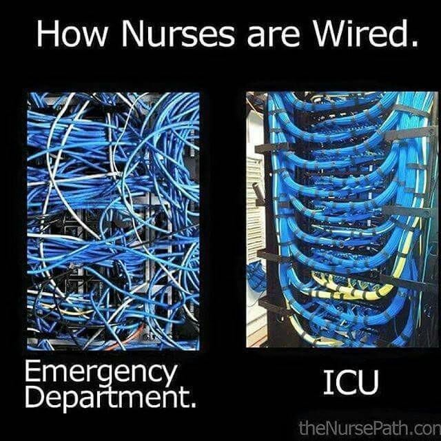 memes - icu nurse vs er nurse - How Nurses are Wired. Din Emergency Department. Icu theNursePath.con