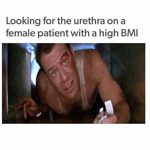 memes - hard - Looking for the urethra on a female patient with a high Bmi