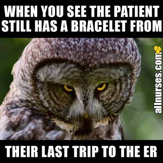 memes - pilatus - When You See The Patient Still Has A Bracelet From allnurses.com Their Last Trip To The Er