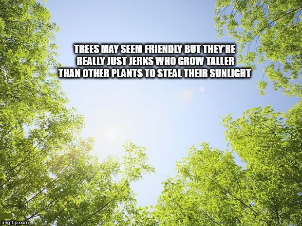 40 Shower Thoughts to Clean Up Your Act