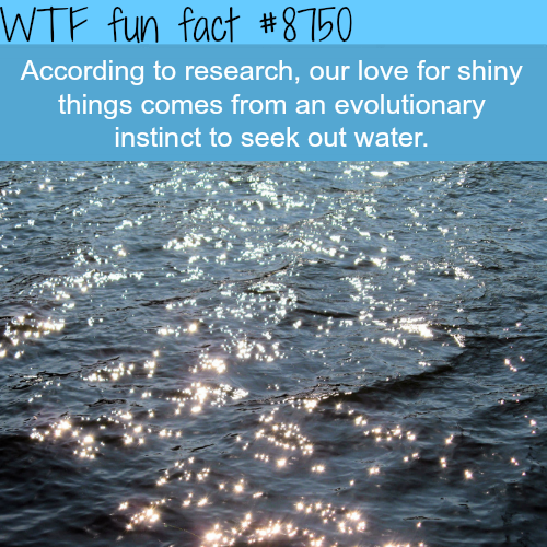 20 Weird and Random-ish Facts for your Thursday