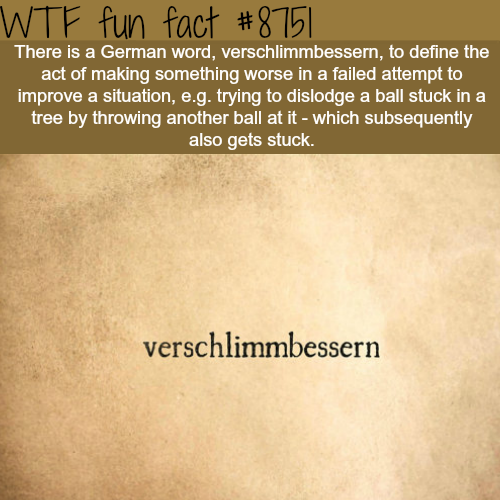 20 Weird and Random-ish Facts for your Thursday