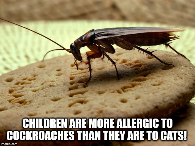 25 Weird Facts to Make You Feel Smarter