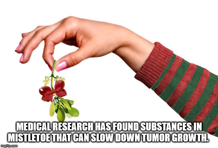 25 Weird Facts to Make You Feel Smarter