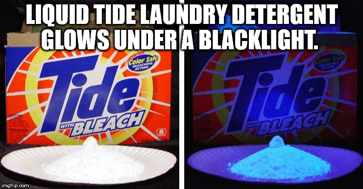 25 Weird Facts to Make You Feel Smarter