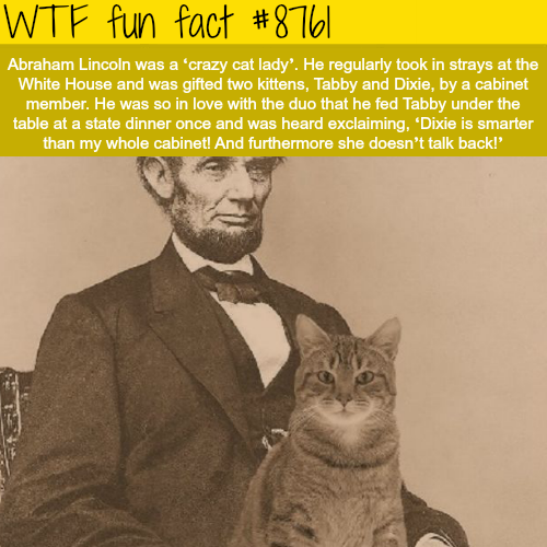 25 Weird Facts to Make You Feel Smarter