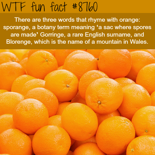 25 Weird Facts to Make You Feel Smarter