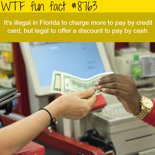 25 Weird Facts to Make You Feel Smarter