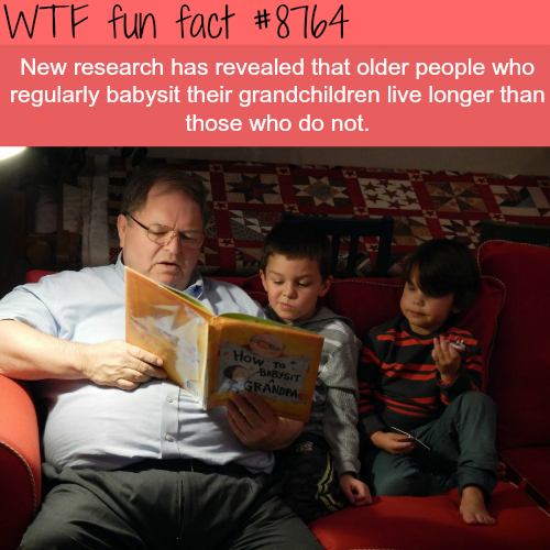 25 Weird Facts to Make You Feel Smarter