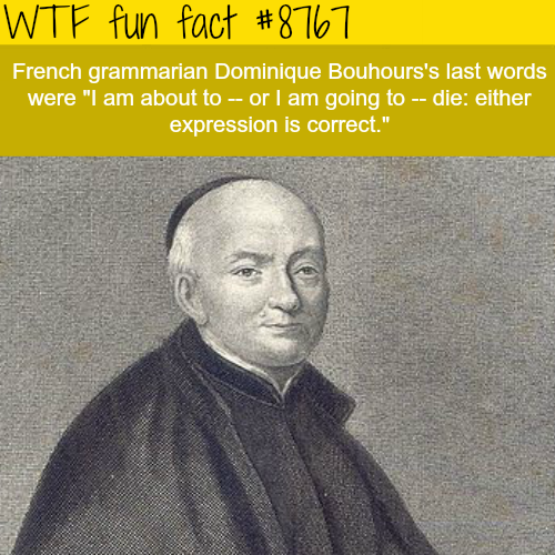 25 Weird Facts to Make You Feel Smarter